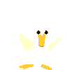 220646-Ducks_and_Geese_white_duck_prv.gif