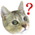 2937662-cat13.gif