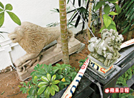 3031409-21la2p13zz.jpg