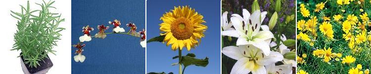 3058887-test.jpg