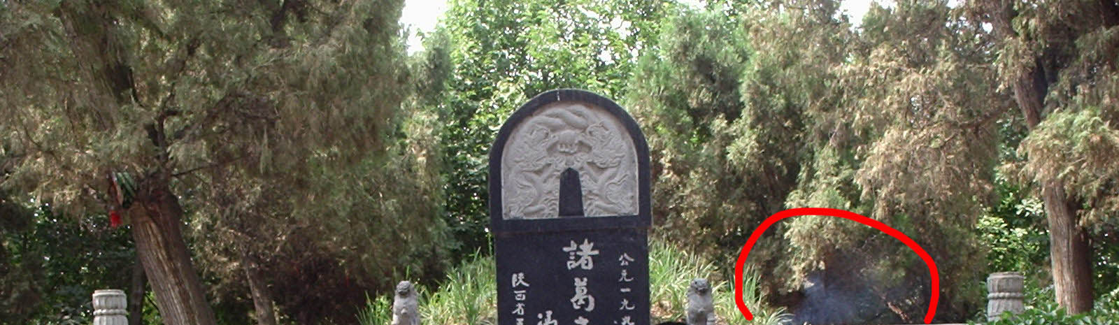 3156974-P1280291.jpg