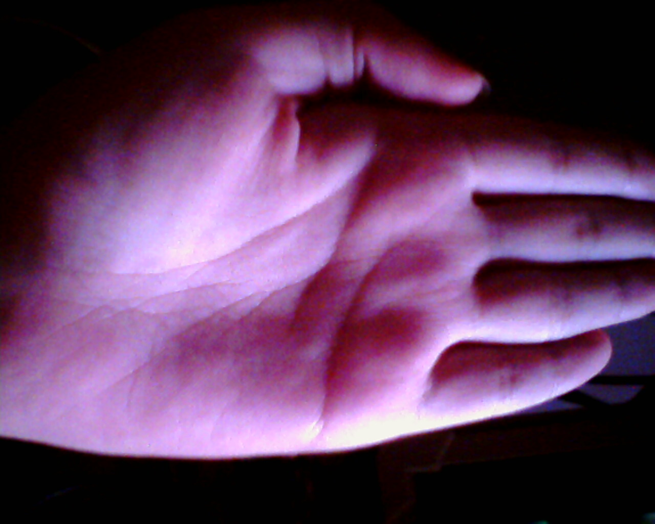 3343417-IMG0020A.jpg