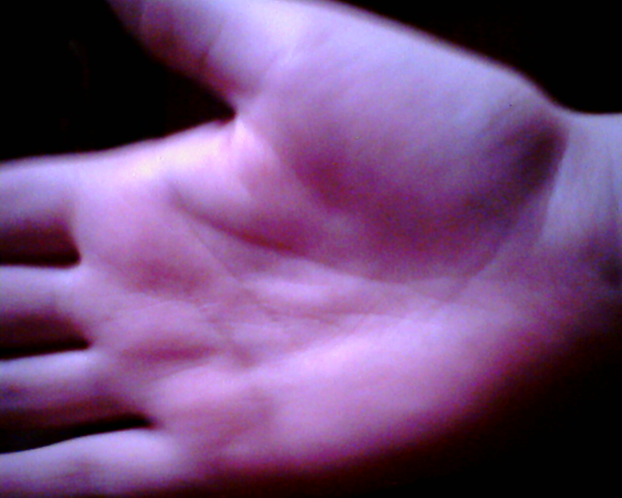 3343436-IMG0019A.jpg
