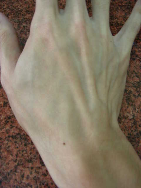 DSCN9995-.jpg
