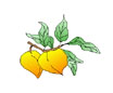 116676-115747-bg67.jpg