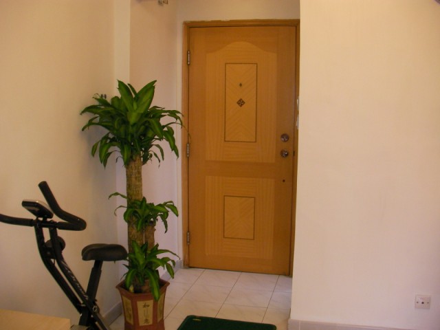SANY0032.jpg