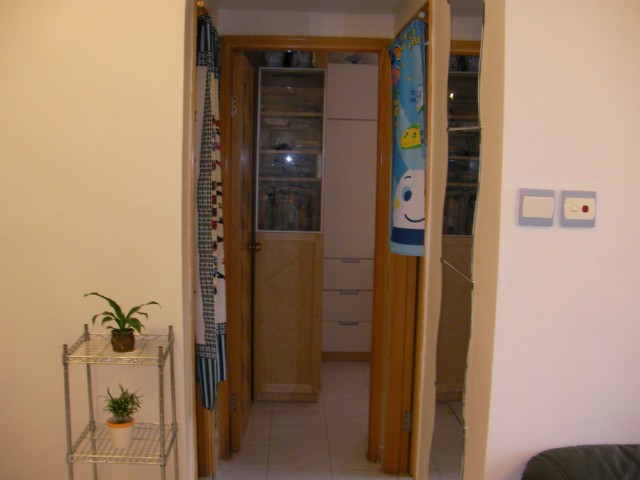 SANY0040.jpg