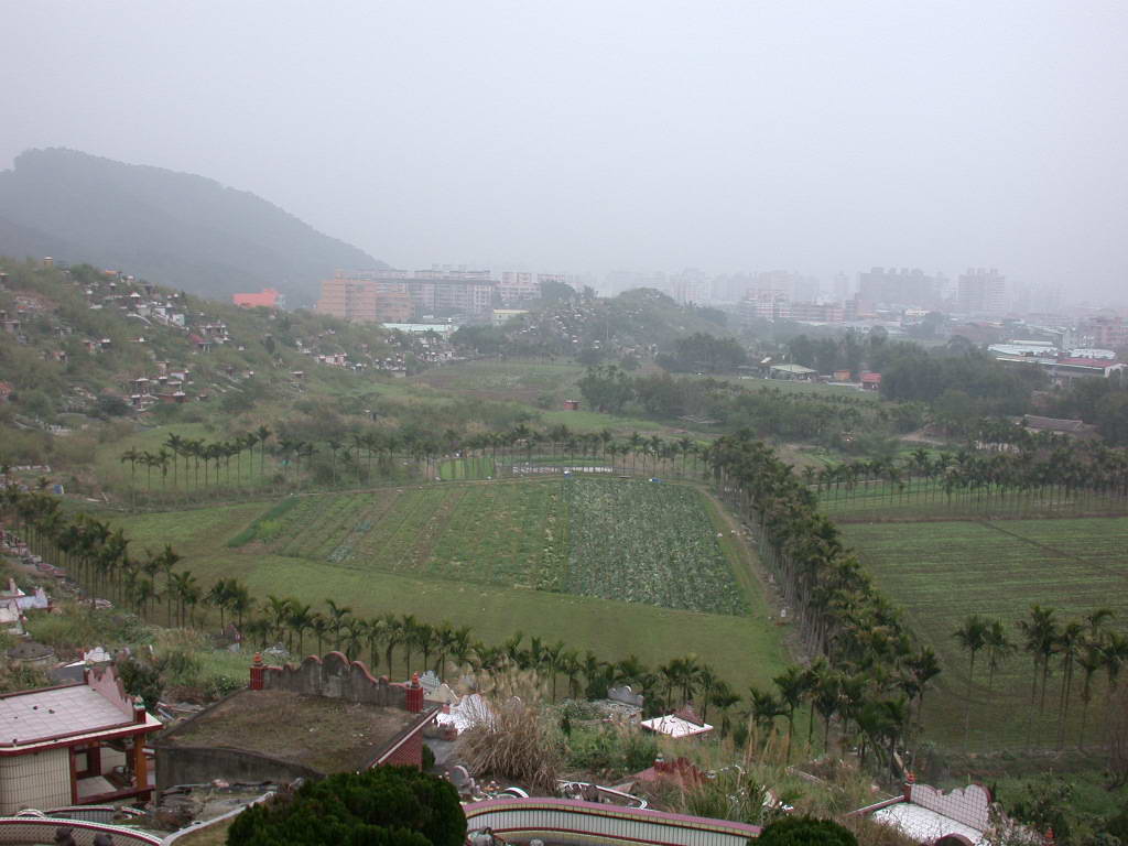 DSCN4745-1.jpg