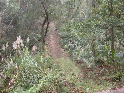 三峽大同路-束氣1.jpg