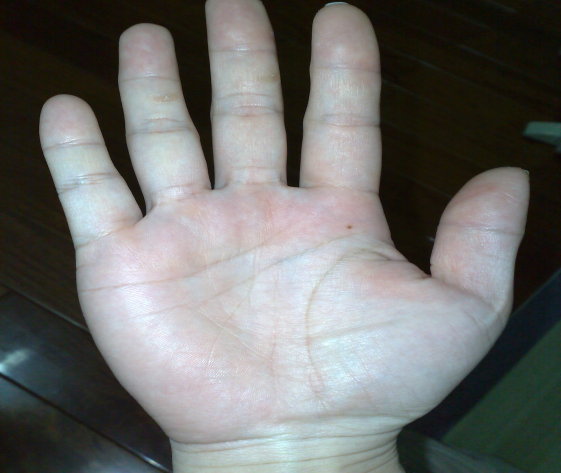 20080824077.jpg