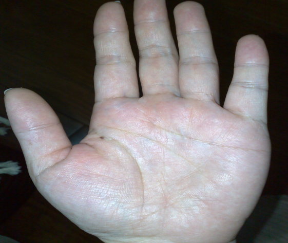20080824078.jpg