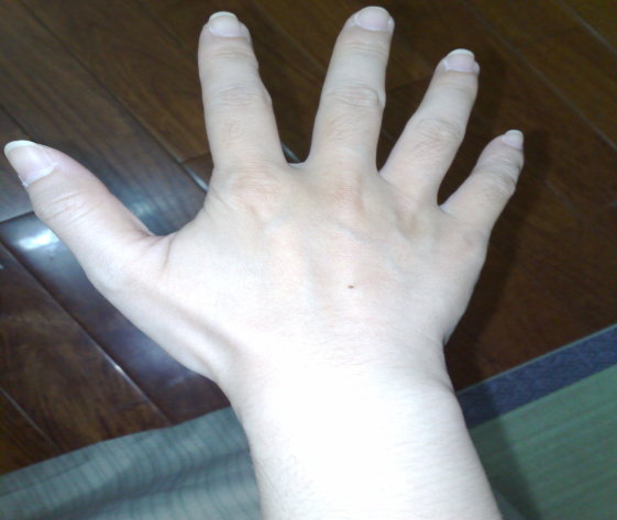 20080824074.jpg