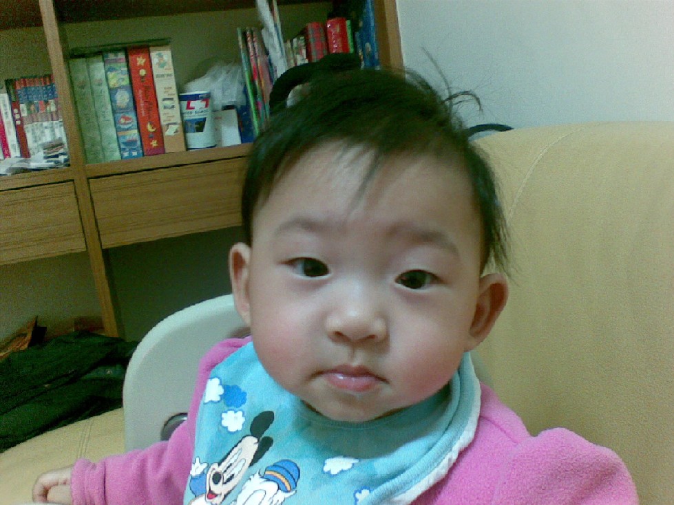 20080105445.jpg