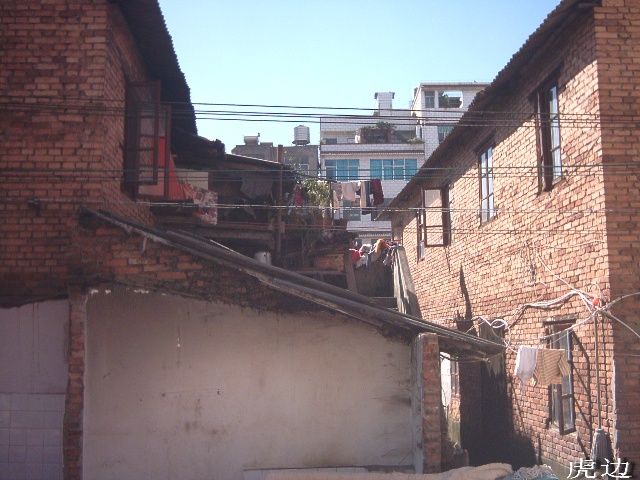 g213.jpg
