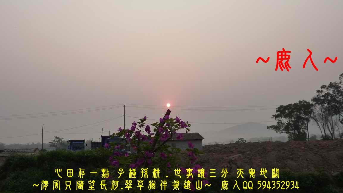 老鹿_34_02.jpg