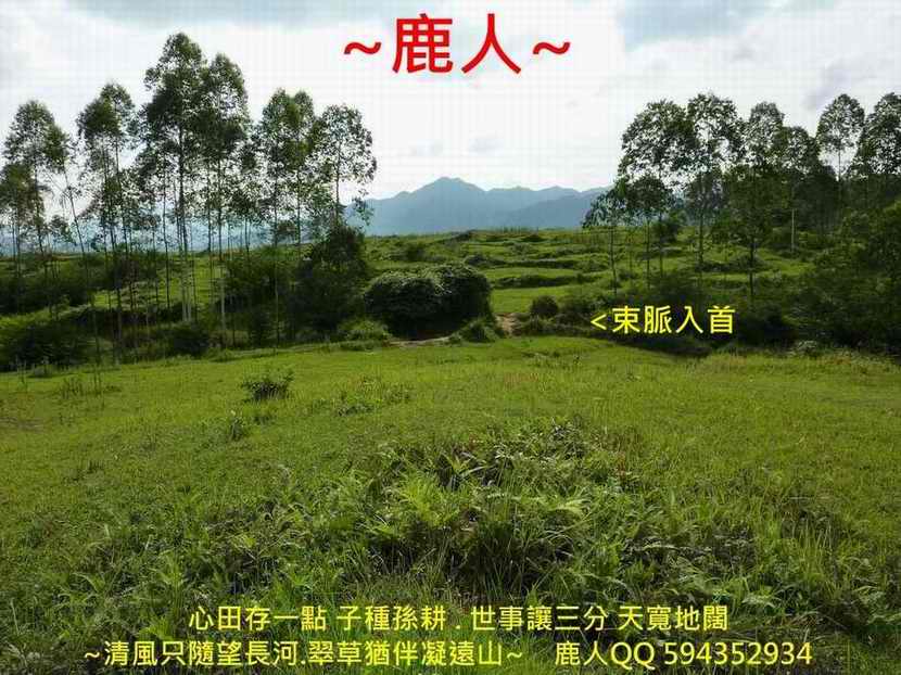 太極_05(標).jpg