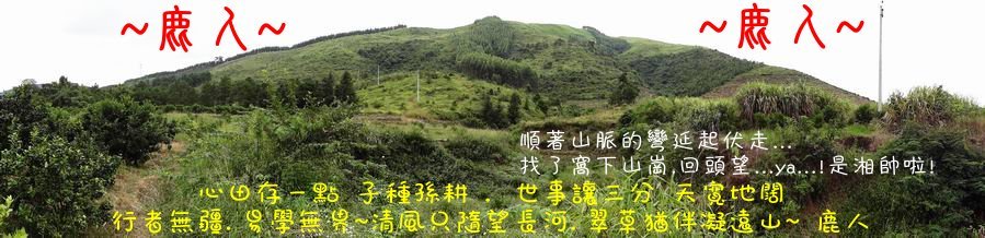 回頭望_湘帥_03.jpg