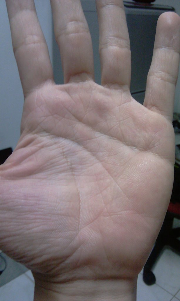 IMAG0010.jpg