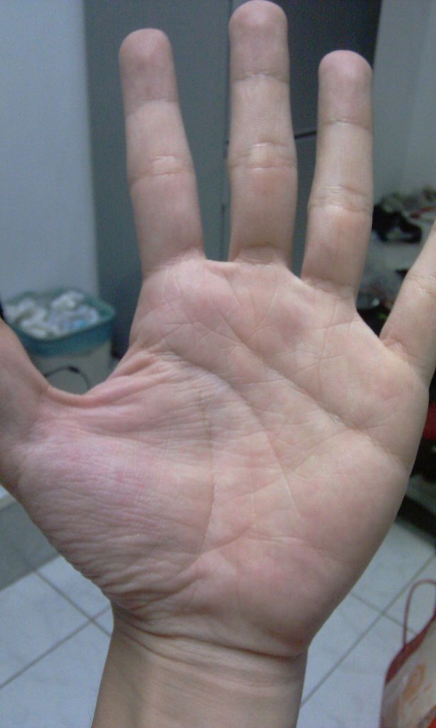 IMAG0011.jpg