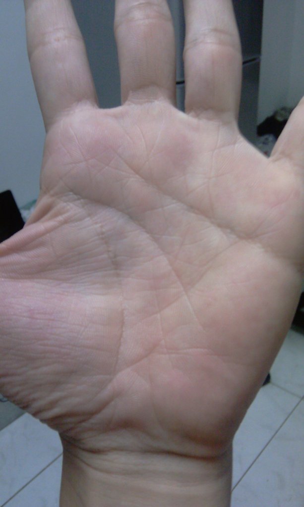 IMAG0012.jpg