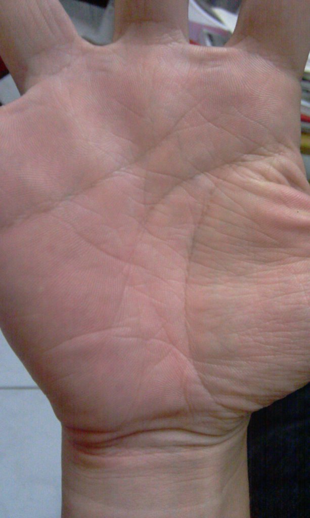 IMAG0014.jpg