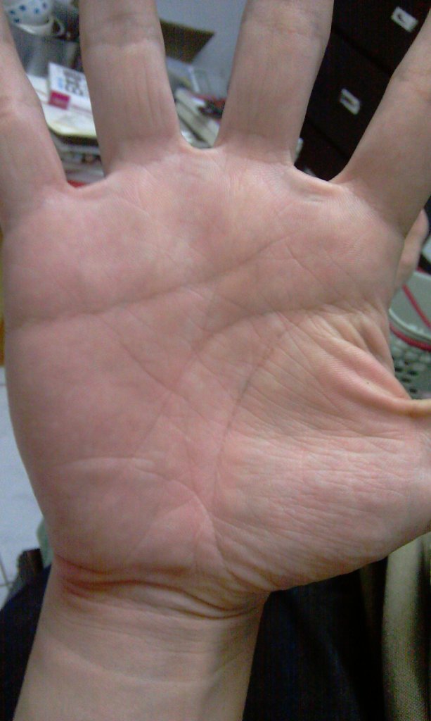 IMAG0016.jpg