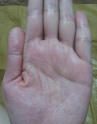 20120810_002755.jpg