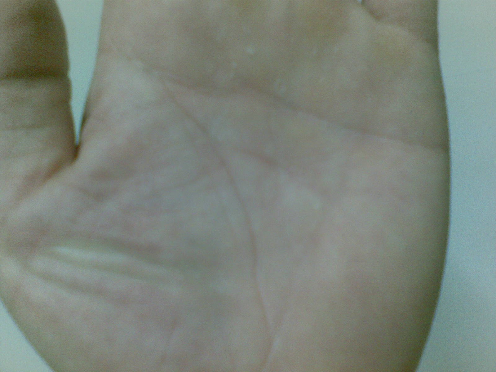 20070101(001).jpg