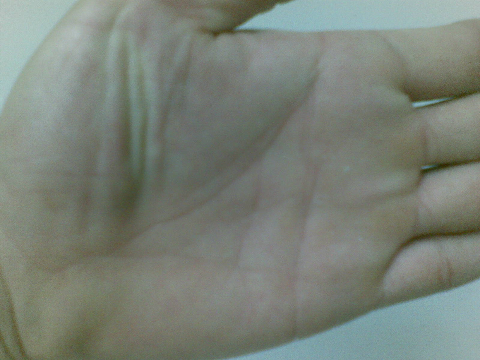 20070101(002).jpg