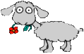 220623-Barn__Animals_Grey_sheep_prv.gif