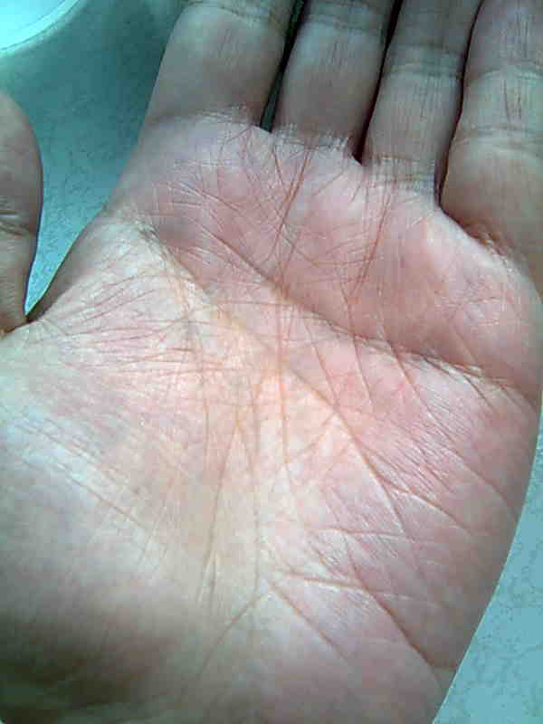 l3.jpg