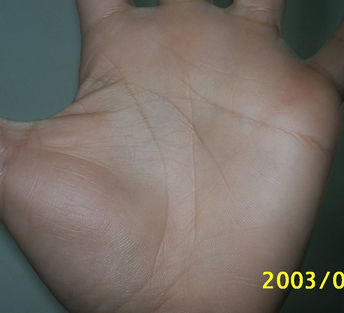 215907-plam.jpg