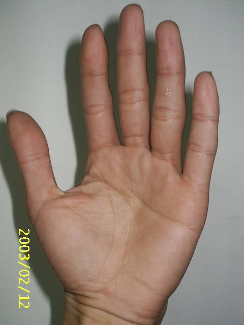 216292-plam1.jpg