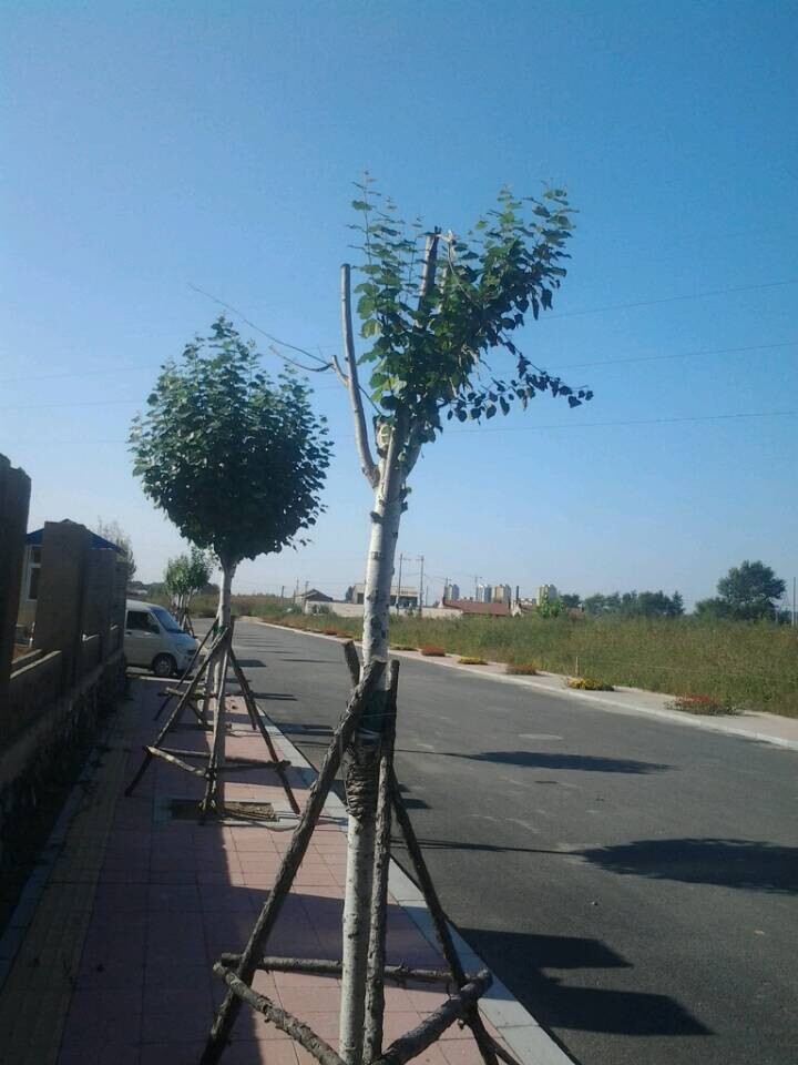 QQ图片20140923103720.jpg
