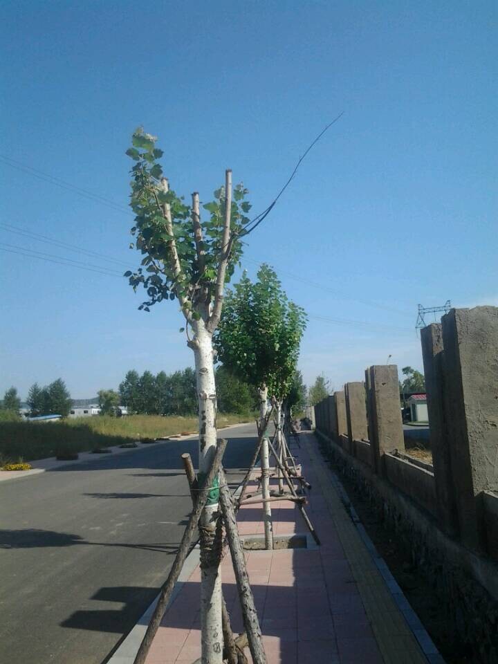 QQ图片20140923103732.jpg
