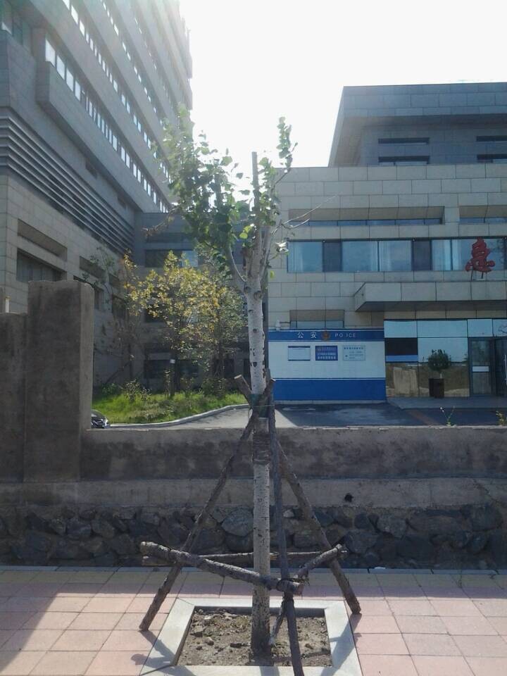 QQ图片20140923103654.jpg