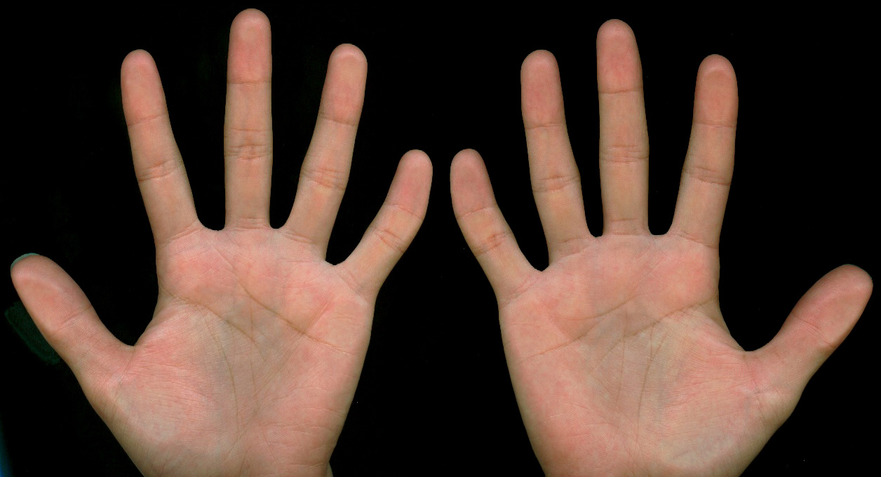 219913-palm.jpg