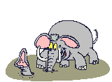 220626-Elephants_Pulled_in_prv.gif