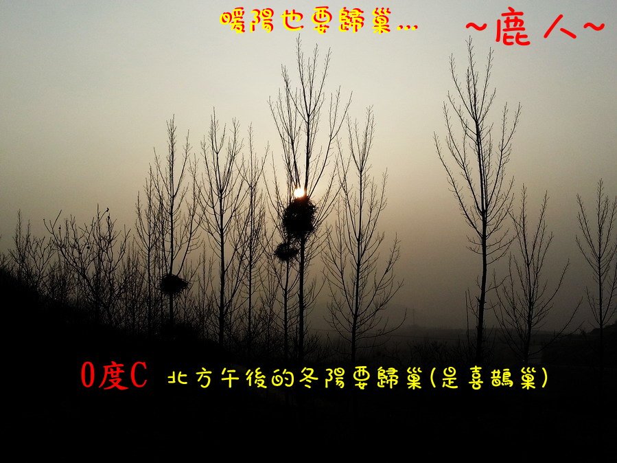歸巢.jpg