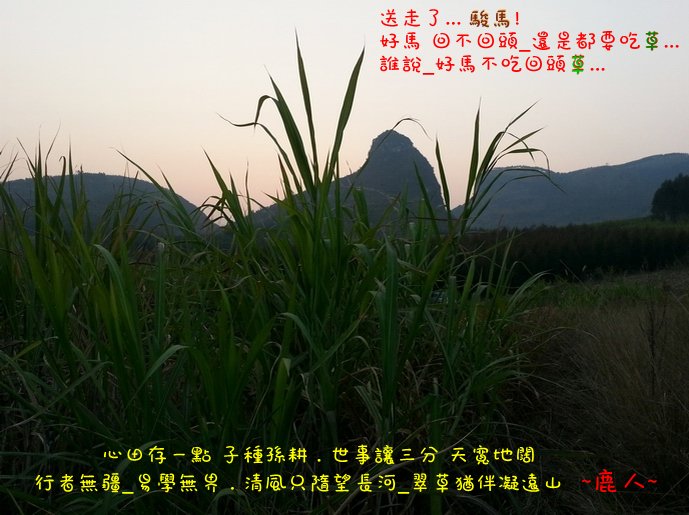 1好馬.jpg