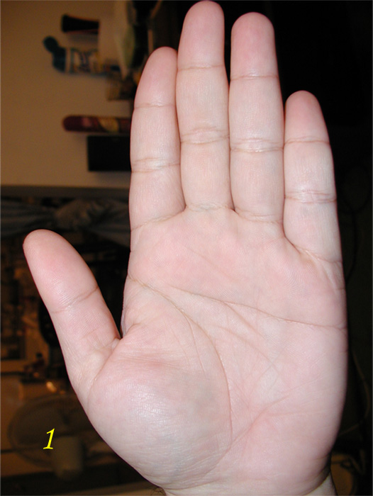 225644-left.jpg