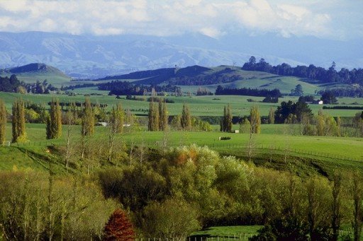 100-02.jpg