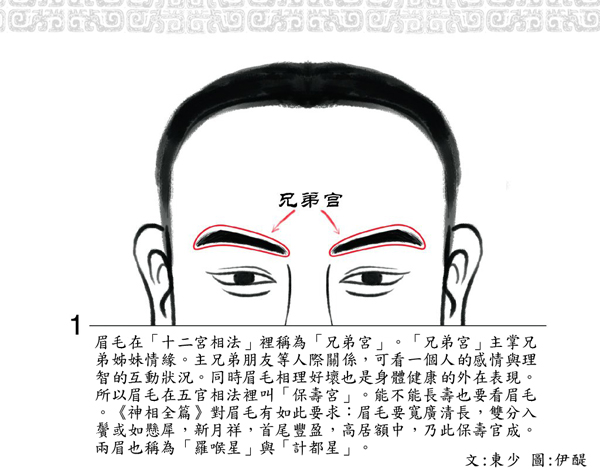 XS眉1.jpg