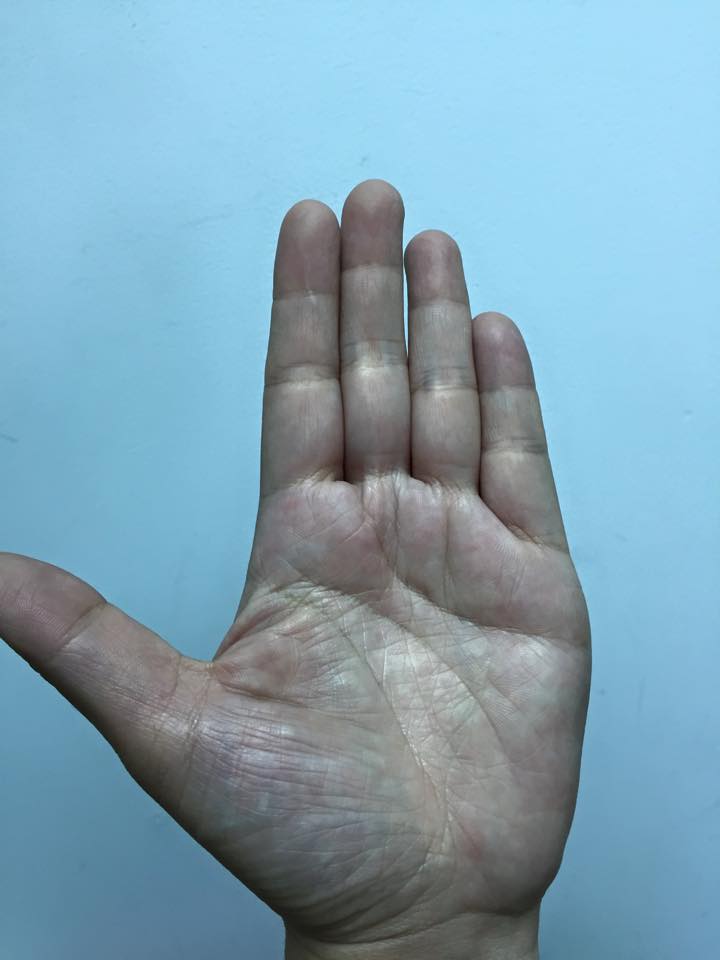 21803_1011947672156335_3331244144142828467_n.jpg