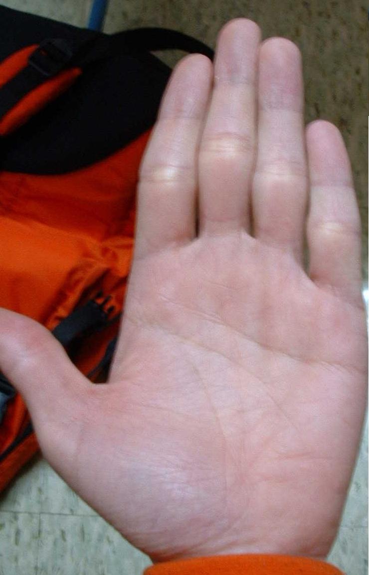 231822-hand2.jpg