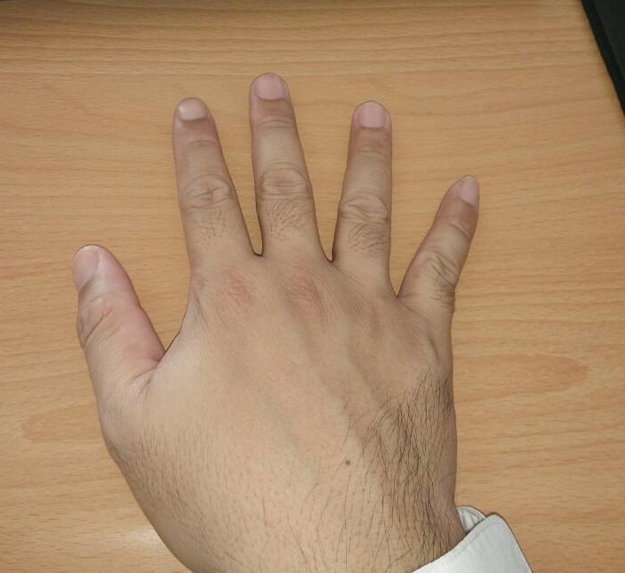 11153.jpg