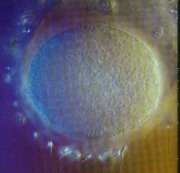 251594-life002.jpg