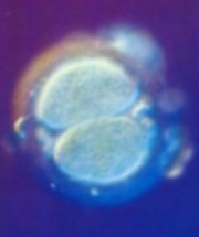 251597-life004.jpg