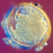 251599-life006.jpg