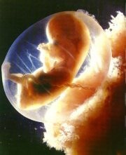 251605-life009.jpg